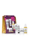 Kiehl's Since 1851 4-pc. Winter Scape Gift Set In Multi