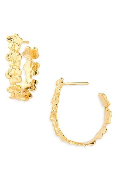 Ki-ele Forever Plumeria Small Hoop Earrings In Gold
