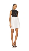 Kika Vargas Eva Dress In Black