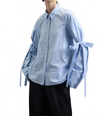 Kika Vargas Park Classic Long Sleeve Shirt In Blue Stripes Poplin In Multi