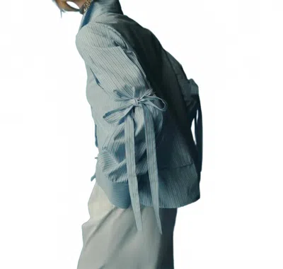 Kika Vargas Park Long Sleeve Top In Blue Stripes Poplin