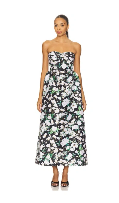 Kika Vargas Rose Dress In Black Magnolia