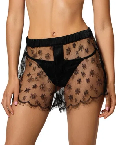 Kiki De Montparnasse All Over Lace Boxer Short In Black