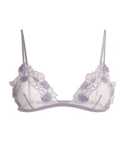 Kiki De Montparnasse Floral-lace Triangle Bra In Purple