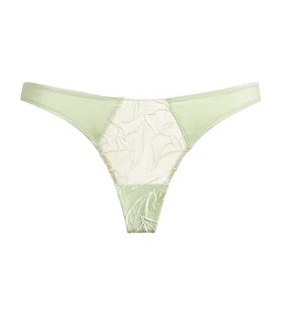 Kiki De Montparnasse Lace Calla Lily Briefs In Green