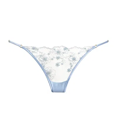 Kiki De Montparnasse Lace Mathilde Thong In Blue