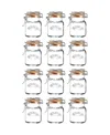 Kilner Spice Jar 2.4 Oz, Set Of 12 In Clear