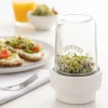 Kilner Sprouting Set In Transparent