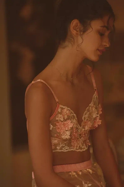 Kilo Brava Embellished Floral Longline Bralette In Orange