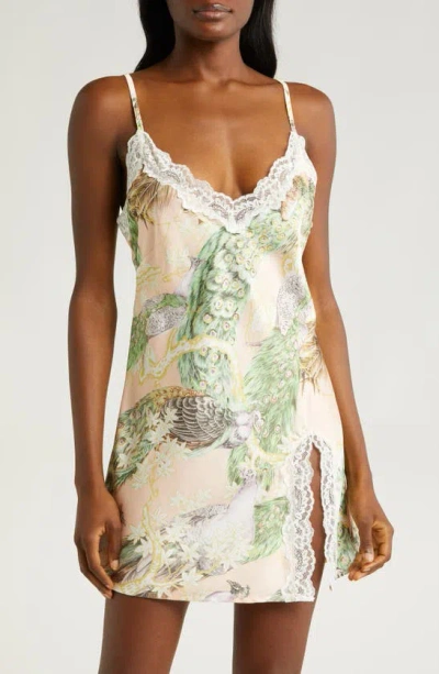 Kilo Brava Lace Trim Print Chemise In Poised Peacock