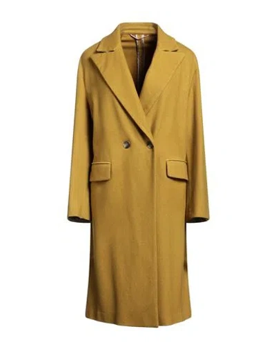 Kiltie Woman Coat Mustard Size 6 Virgin Wool, Polyamide In Yellow
