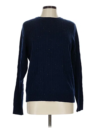 Pre-owned Kim Rogers Pullover Sweater In Blue