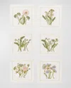 Kim Seybert Meadow Embroidered Cocktail Napkins, Set Of 6 In Multi