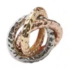 Kim Seybert Trinity Napkin Ring In Multi, Set Of 4 In A Gift Box In Gold