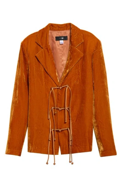 Kim Shui Silvia Oversize Silk Blend Velvet Blazer In Orange