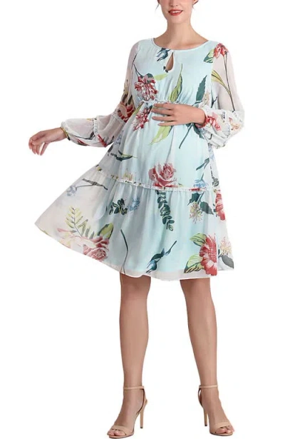 Kimi & Kai Aliz Long Sleeve Maternity Babydoll Dress In Blue