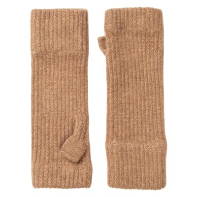 Kinalba Neutrals Ladies Vicuna Ribbed Cashmere Wrist-warmers In Brown