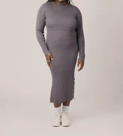 Kindred Bravely 2-in-1 Maternity And Nursing Midi Dress In Charcoal In Purple