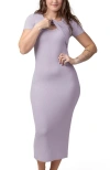 Kindred Bravely Olivia Ribbed 2-in-1 Maternity & Nursing Dress