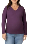 KINDRED BRAVELY KINDRED BRAVELY RIB V-NECK MATERNITY/NURSING TOP