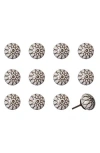 Kinetic 12-pack Knobs In Beige Star