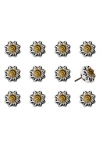 Kinetic 12-pack Knobs In Black Leaf