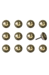 Kinetic 12-pack Knobs In Brown