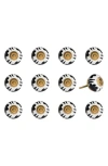 Kinetic 12-pack Knobs In Multi
