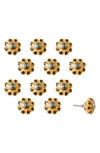 Kinetic 12-pack Knobs In Golden Flower