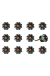 Kinetic 12-pack Knobs In Multi