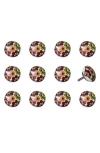 Kinetic 12-pack Knobs In Orange Green Floral