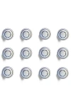 Kinetic 12-pack Knobs In White Line