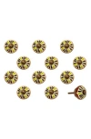 Kinetic 12-pack Knobs In Yellow Petals