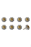 Kinetic 8-pack Knobs In Multi