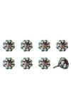 Kinetic 8-pack Knobs In Cream Blue
