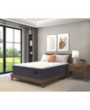 King Koil Luxury By  Solace 15" Medium Hand-tufted Euro Top Mattress, Twin, Created For Macy's In Transparent