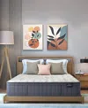 King Koil Luxury By  Zenith 12.5" Firm Tight Top Mattress, Full, Created For Macy's In Gray