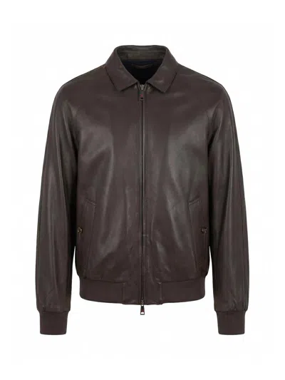 Kired Chaqueta Bomber - Marrón