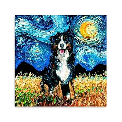 Kirkland's Aja Trier Bernese Starry Night Canvas Art Print In Multi