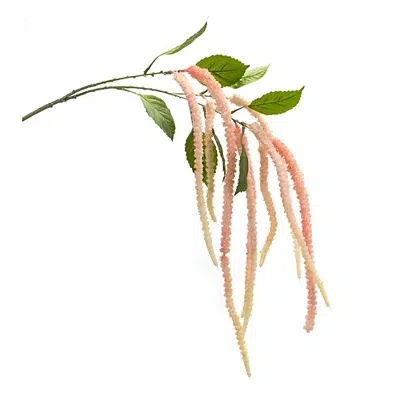 Kirkland's Amaranthus Stems In Multi