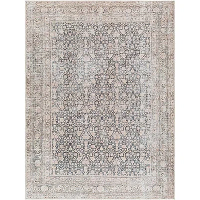 Kirkland's Amelie Black Traditional Washable Area Rug In Multi