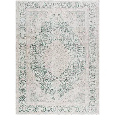 Kirkland's Amelie Green Traditional Washable Area Rug In Multi
