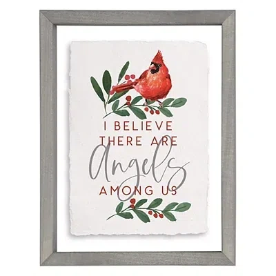 Kirkland's Angels Among Us Cardinal Framed Wall Plaque In Multi