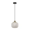 Kirkland's Antique Brass Frosted Glass Globe Pendant Light In Black