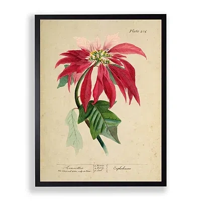 Kirkland's Antique Christmas Poinsettia Framed Art Print In Nude