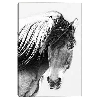 Kirkland's At First Glance Canvas Art Print In Gray