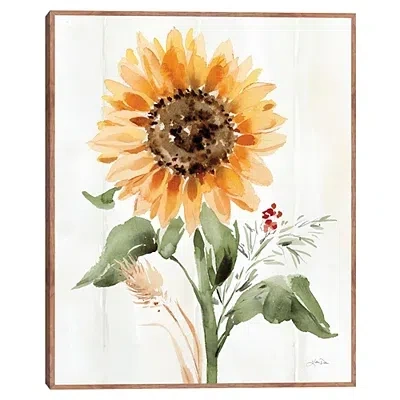 Kirkland's Autumn Ramble Ii Framed Canvas Art Print In Multi