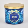 Kirkland's Balsam Blizzard 3-wick Jar Candle In Blue