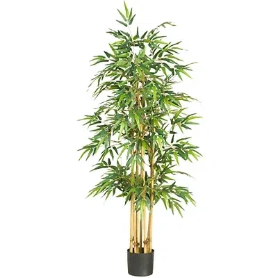 Kirkland's Bamboo Silk Tree In Black