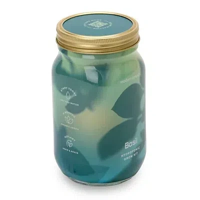 Kirkland's Basil Garden Jar Hydroponic Grow Kit In Green
